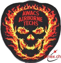 Bild von NATO Awacs Techs Abzeichen Totenkopf